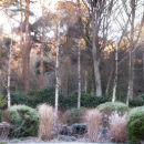 Winter garden