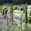 Jennifer Gayler Garden Design