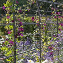 Jennifer Gayler Garden Design