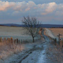 The South Downs Way