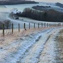 Winter sunset, Linch Down
