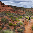 Desert, Utah USA