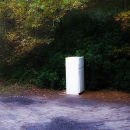 The fridge in the woods
