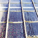 Cold frame