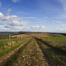 South Downs Way at Bignor