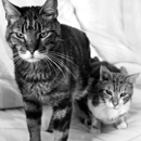 brothers