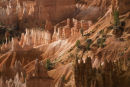 Bryce Canyon Utah USA