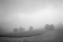 Dawn Little Bredy