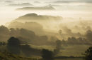 Mist in the vales