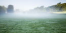 Mist over Little Bredy Cricket ground