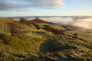 Mist over Symondsbury