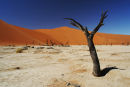 Dead Vlei, Namib Desert