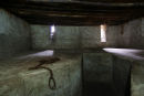 Zanzibar slave cell