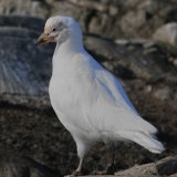  MG 9701-Edit-Edit-Edit-Edit