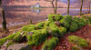 Castle Kilchurn