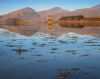 Castle Stalker