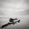 Shipwreck