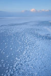 Rannoch Moor Frost