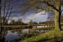 Kedleston Lake