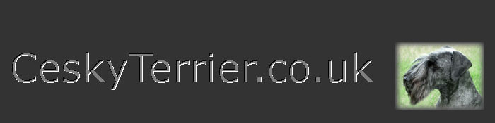 CeskyTerrier.co.uk