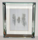 'Feathers'