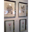 Bevelled Glass Frames