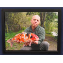 Stretched & Framed