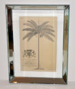 'Black & White Palm I'