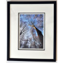 Shadow Box