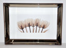 'Tulips'