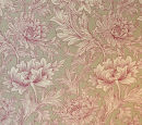 'Chrysanthemum - detail'