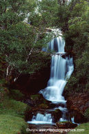 Adrvreck Burn