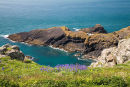 Pigstone Bay