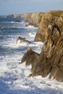 Limestone Cliffs 
