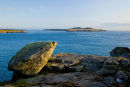 St David's