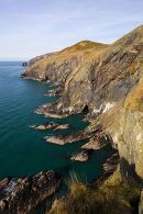 Foel Hendre 