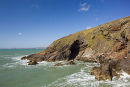 Davy Williams Haven