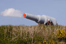 Chapel Bay Fort - RML Gun 