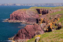 Red Sandstone Sea Cliffs