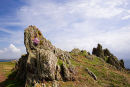 Outcrop 