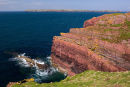 Purple Cove