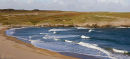 Surf 
