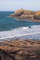 Surf 