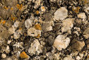 Conglomerate 