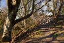 Nevern Castle Motte