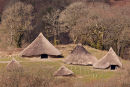Castell Henllys