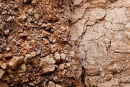 Gash - Breccia