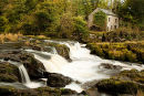 Cenarth Falls / Salmon Leap / Afon Teifi .