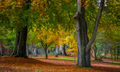 3rd : Autumn