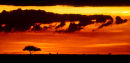 Maasai Mara sunset